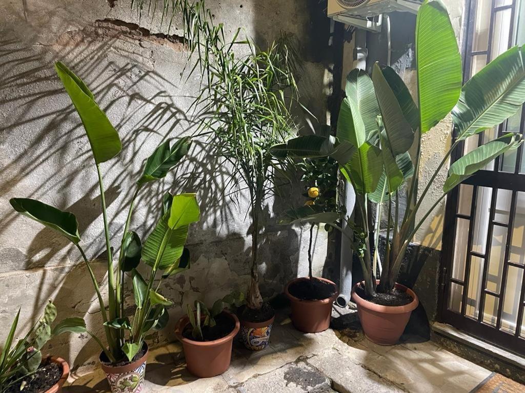 Appartamento Conny'S House Catania Esterno foto